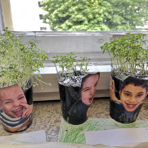 Kresseköpfe