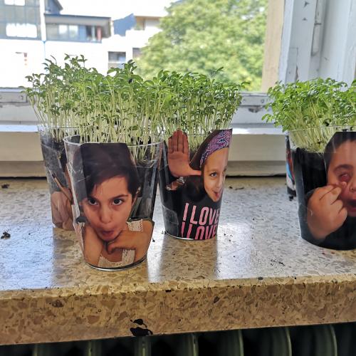 Kresseköpfe
