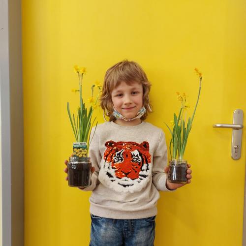 Frühblüher