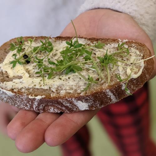 Kressebrot