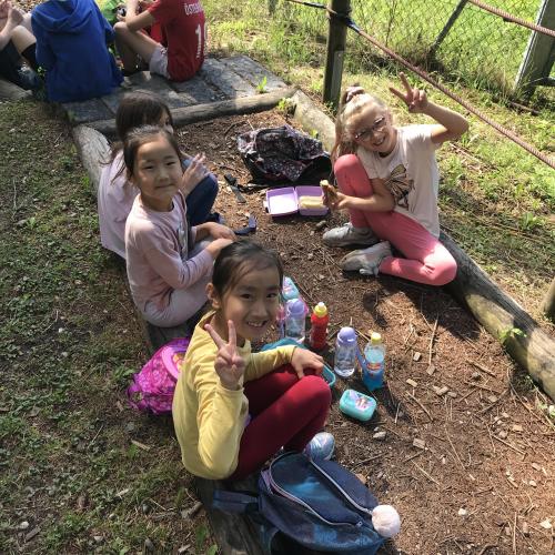 Schule auf Wanderschaft