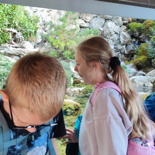 Alpenzoo
