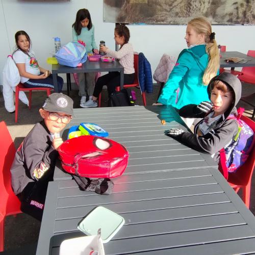 Alpenzoo