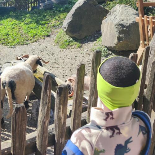 Alpenzoo